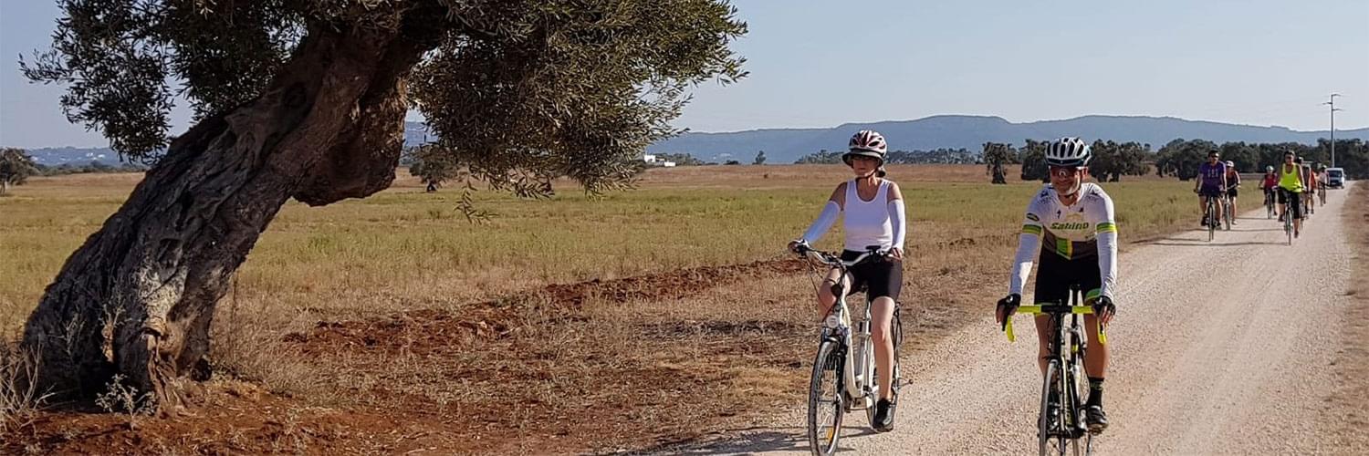 Away From The Crowds - An eco tour by bike