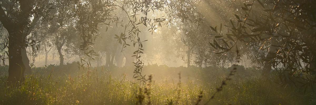 What is the perfect time to visit Puglia