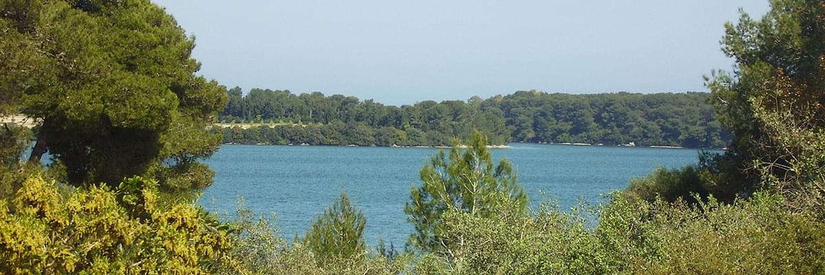 The Serene Lakes of Puglia