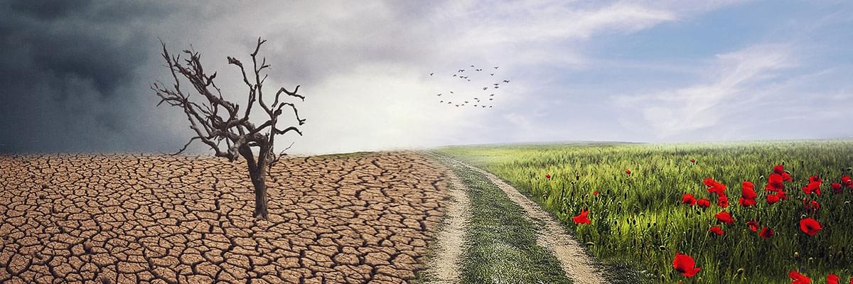 How is climate change affecting Puglia agriculture?
